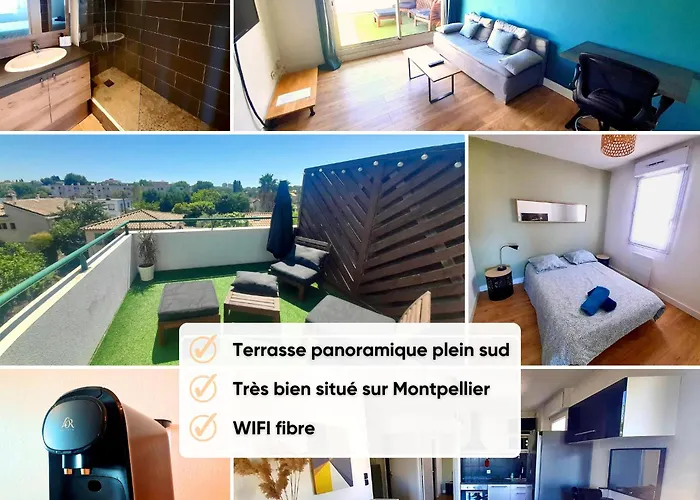 Terrasse De La Pompignane - T2 Lumineux Plein Sud