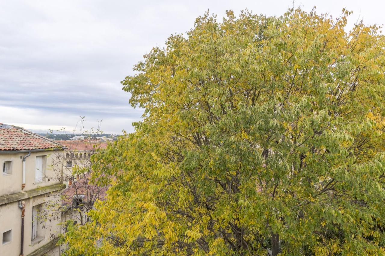 Apartamento My Peyrou - Premiere Conciergerie Montpellier