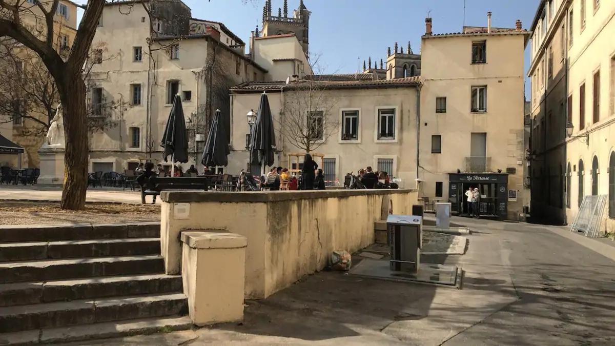 Apartment Magnifique 2 Pieces - Plein Centre - Tram 1 Min