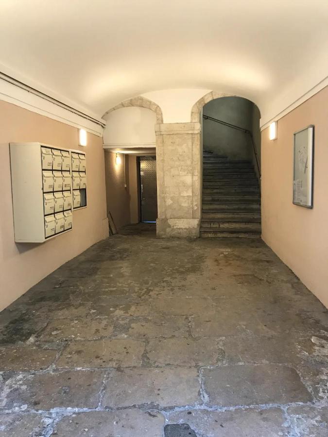 Magnifique 2 Pieces - Plein Centre - Tram 1 Min Apartment