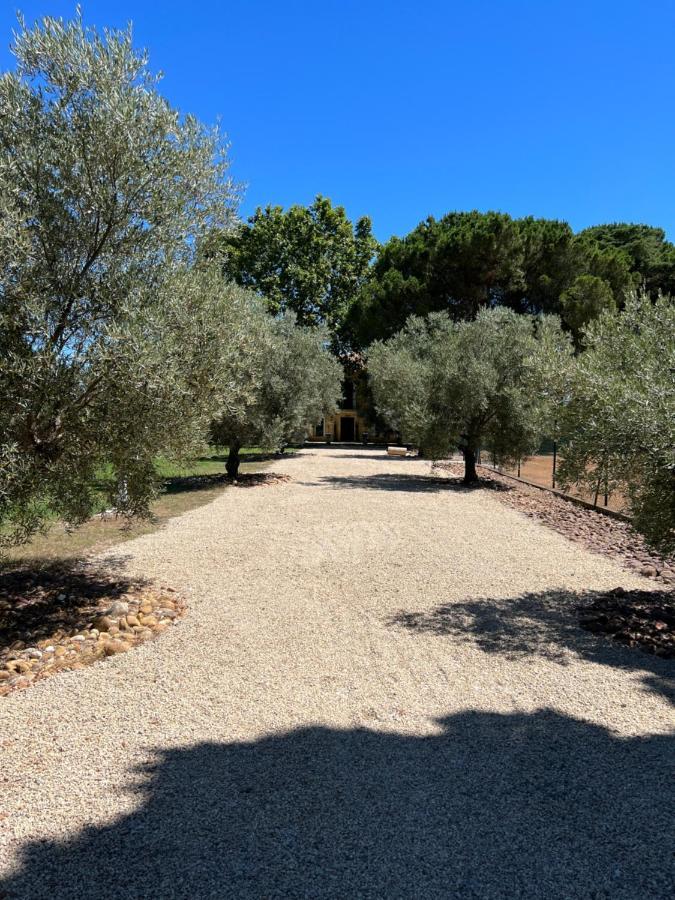 Domaine De La Trinité - 5 Min De L'aéroport - 10 Min Des Plages * Saint-Aunes
