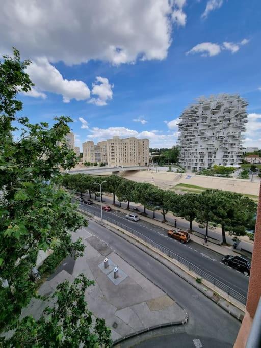 Sur Les Rives Du Lez Locairbi Montpellier
