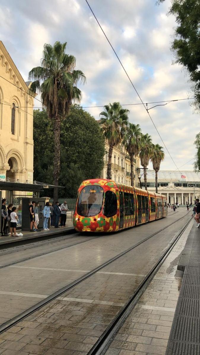 Beautiful In The Middle Of Town Montpellier