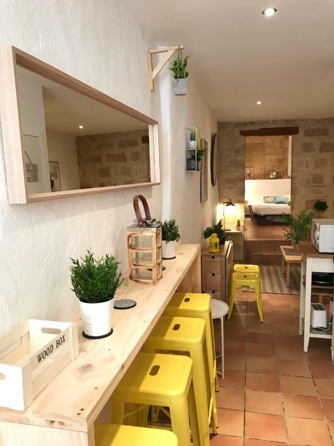 Super T2 - Historic Center - Idealement Situe Apartment