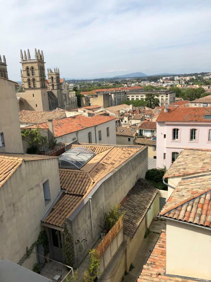 Sous Le Toit Pres De La Cathedrale St.pierre Apartment Montpellier