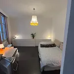 Joli Studio Zone Pietonne