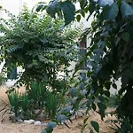 Sleep In Montpellier, Cosy, Central, 5 Ch, 10P, Tram L1, 2,3 & 4