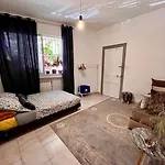 Magnifique T3 Au Centre Ville - Immeuble Particulier