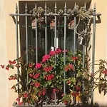 Simone\'S Houses