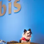 ibis Montpellier Centre Comedie