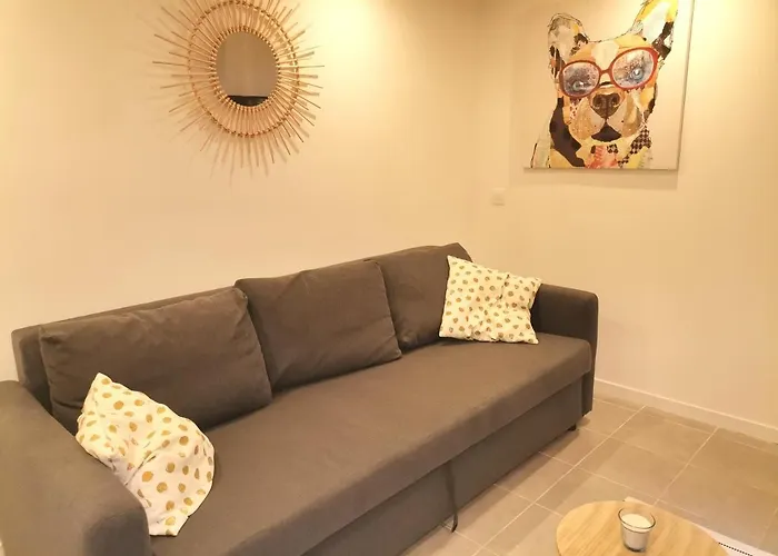 Studio Montpellier Ecusson