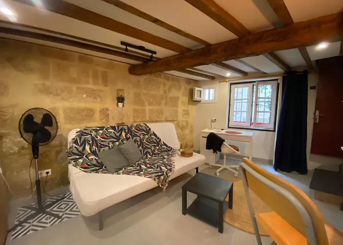 Charmant Studio Ecusson Centre Historique