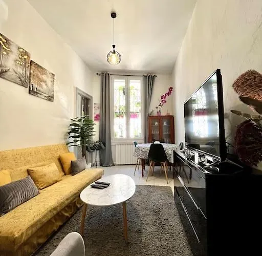 Magnifique T3 Au Centre Ville - Immeuble Particulier