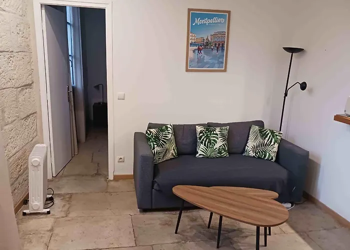 T2 For 4 People In The City Center Montpellier