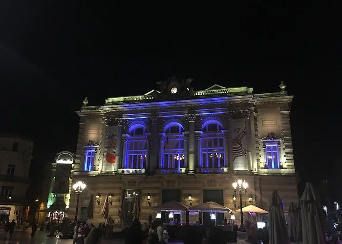 Sous Les Toits De Montpellier