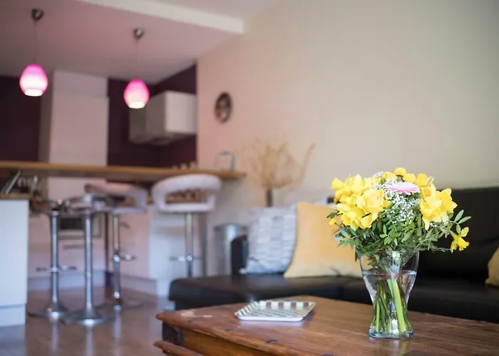 Appartement 2 Pieces Avec Jardin Beaux Arts