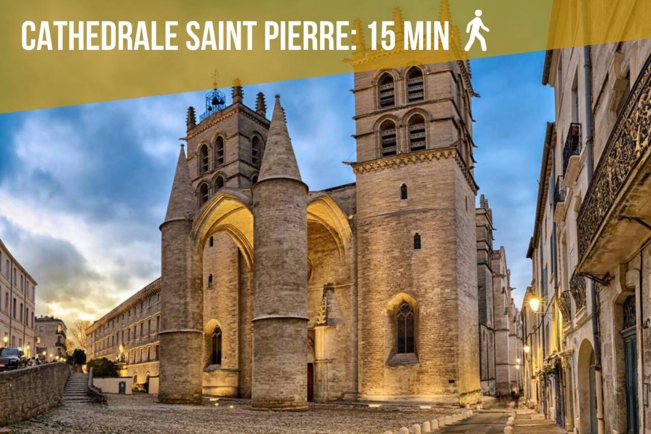 Le Saint Roch-centre-free Parking-clim * Montpellier