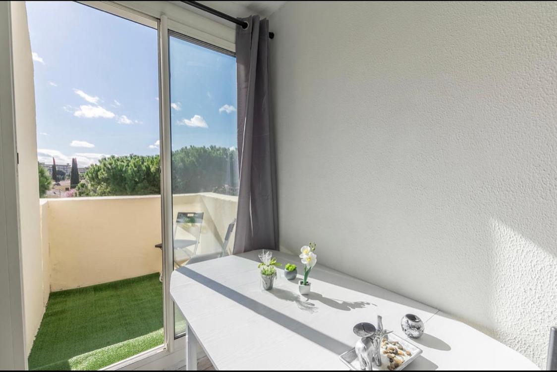 Apartment Grand Dote D'une Terasse Avec Magnifique Vue Montpellier