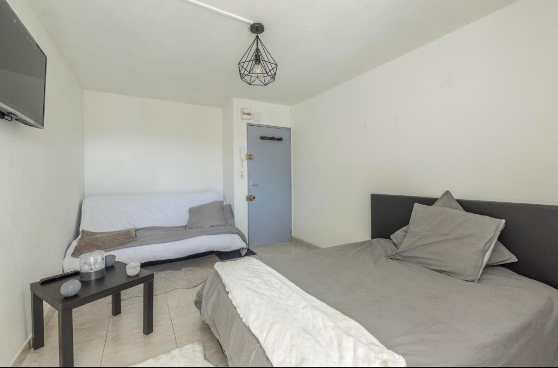 Apartment Grand Dote D'une Terasse Avec Magnifique Vue Montpellier