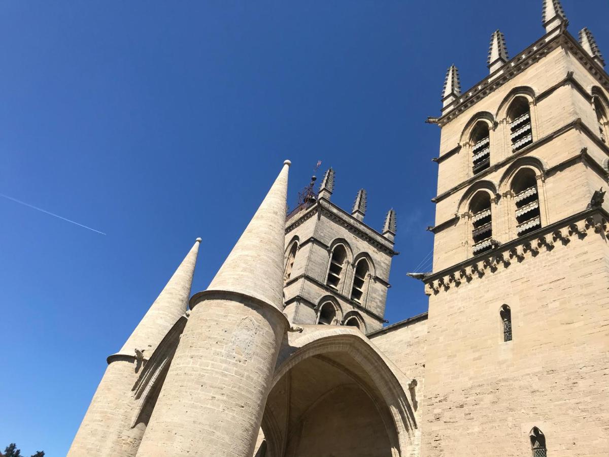 Romance, Design&an Amazing View * Montpellier