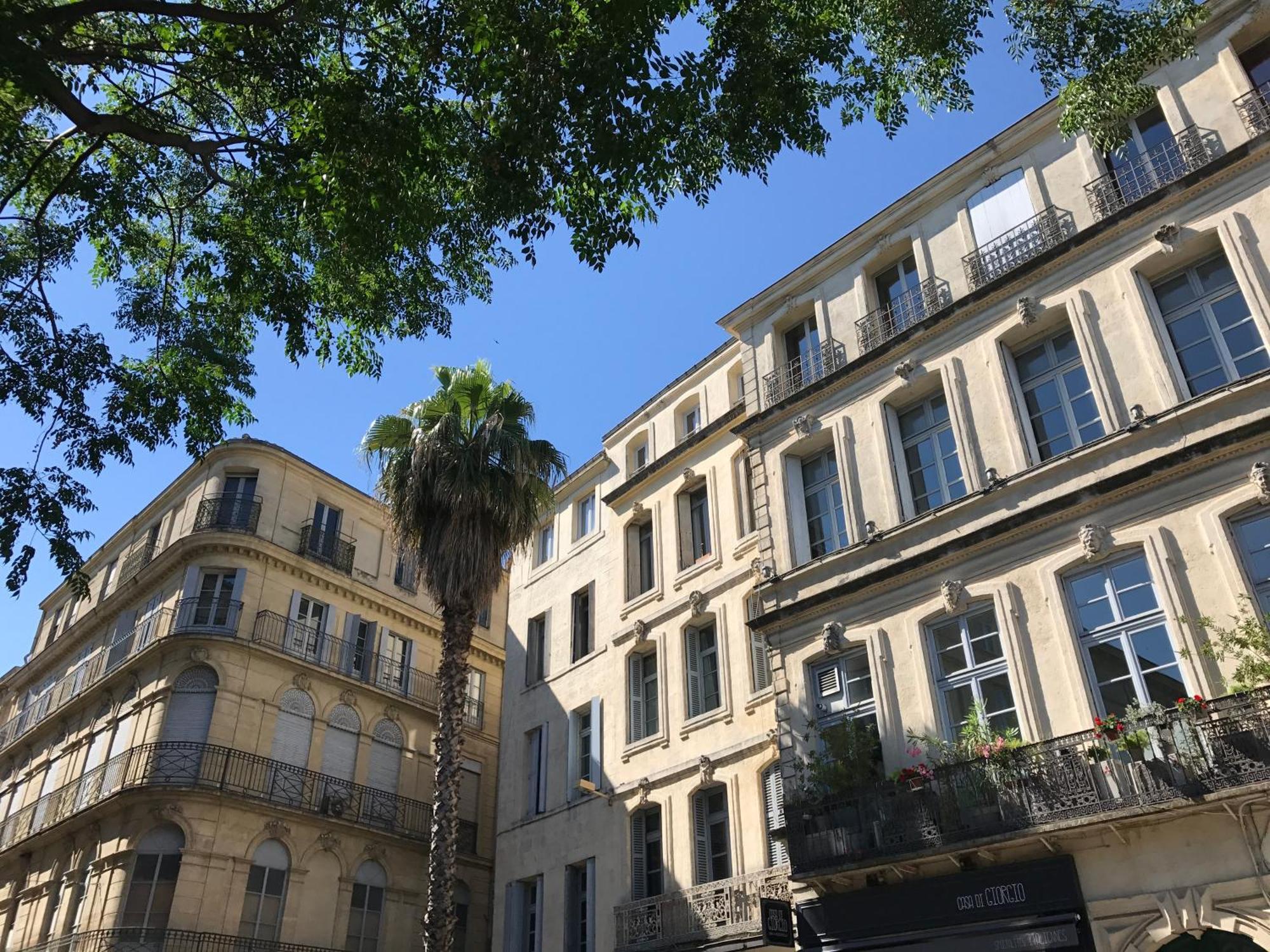 Chic - La Terrasse Bazille - Netflix Appartement