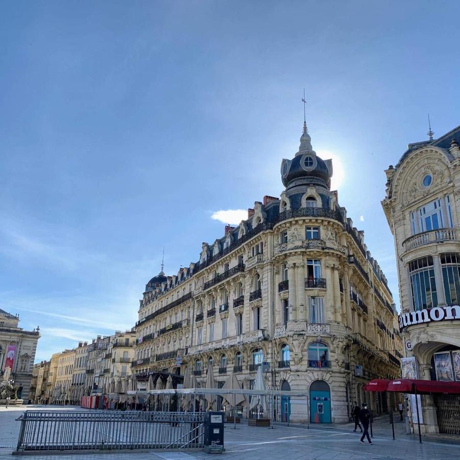 Appartement Chic - La Terrasse Bazille - Netflix *
