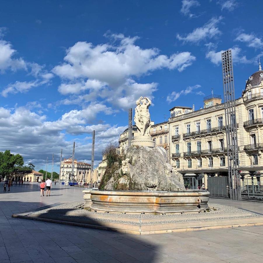 Chic - La Terrasse Bazille - Netflix Appartement Montpellier