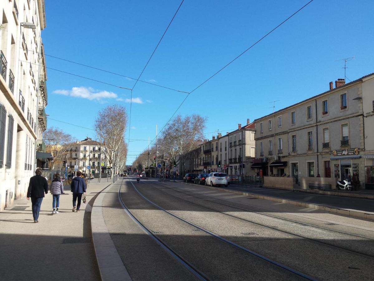Appartement Studio Arceaux Peyrou Montpellier