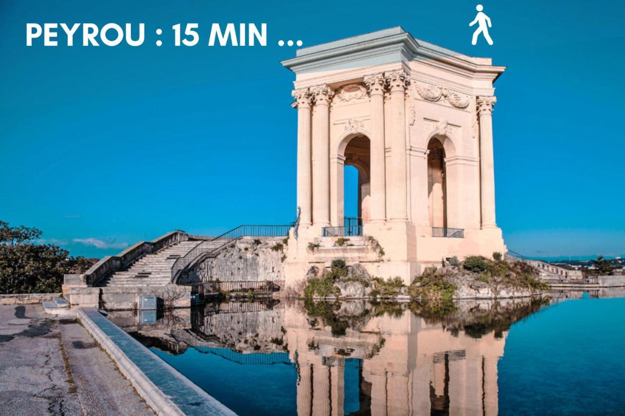 Nouveau - Jungle Montpeul - Clim - Wifi Fibre - Netflix - 5' Du Centre Et Gare - Parking - Loggia - 15' Des Plages Appartement Montpellier