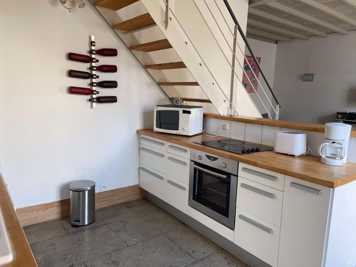 Magnifique Duplex Climatisé En Centre Ville Appartement