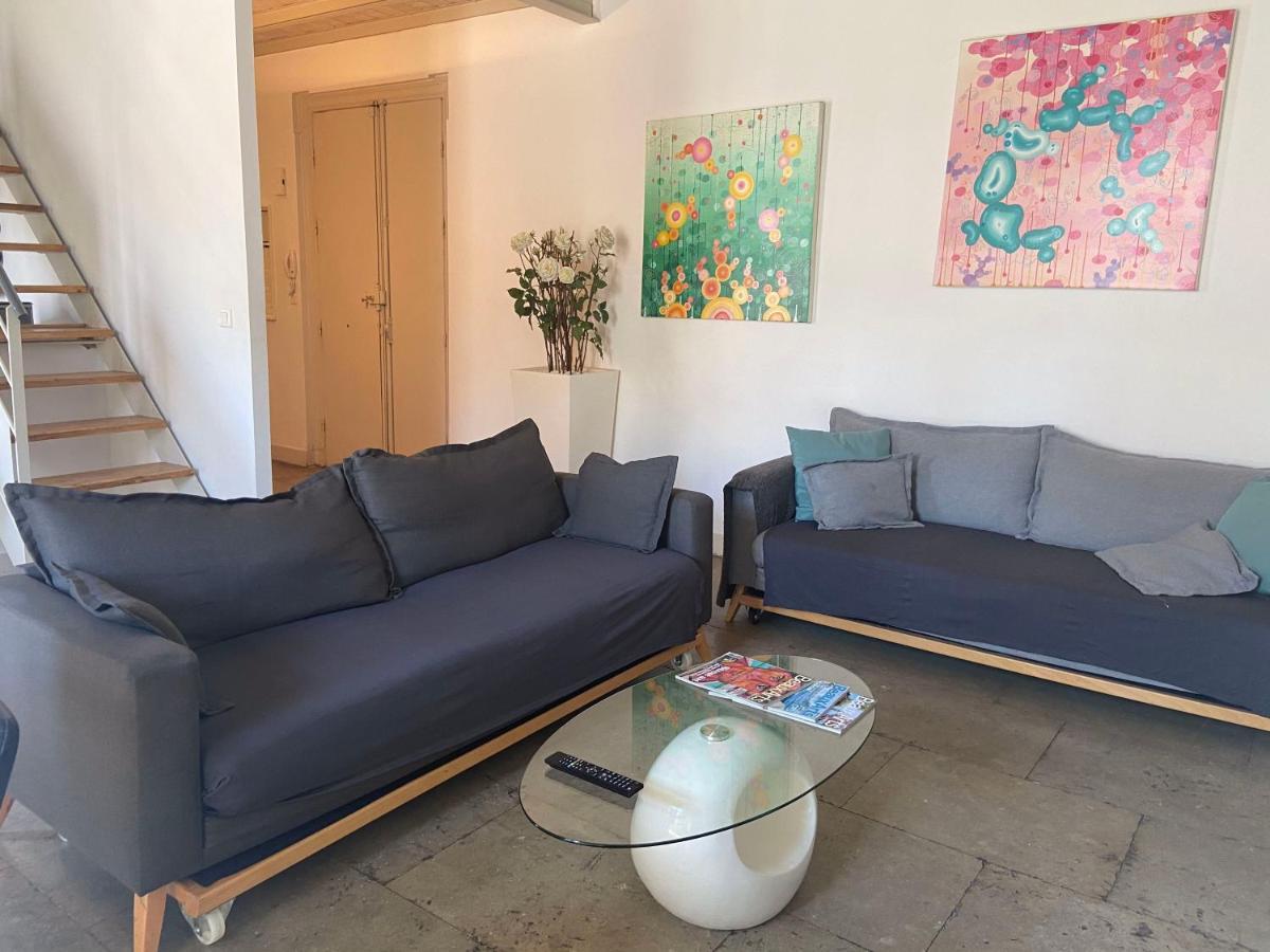 Magnifique Duplex Climatisé En Centre Ville Appartement