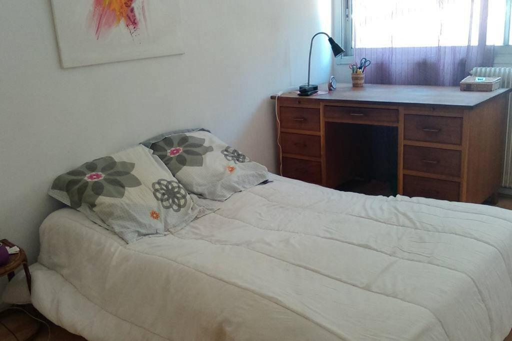 Agréable F2 45 M2, Lumineux Avec Piscine Appartement Montpellier