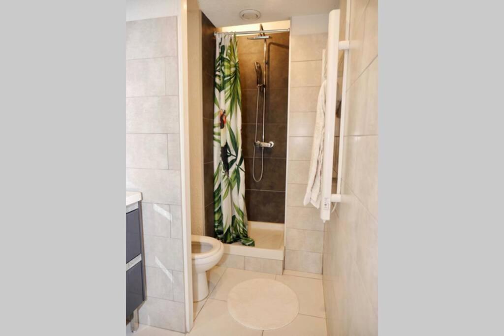 Appartement T2 Cocooning, Hospitaux Facultes Terrasse, Parking Prive