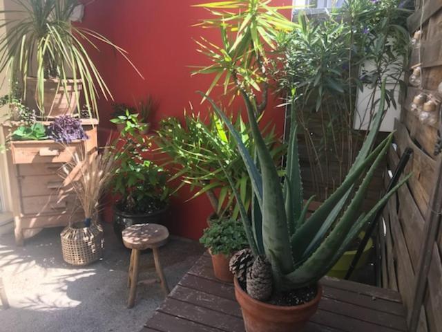 Apartamento Joli Coeur, Port Marianne, 4 Pers Montpellier