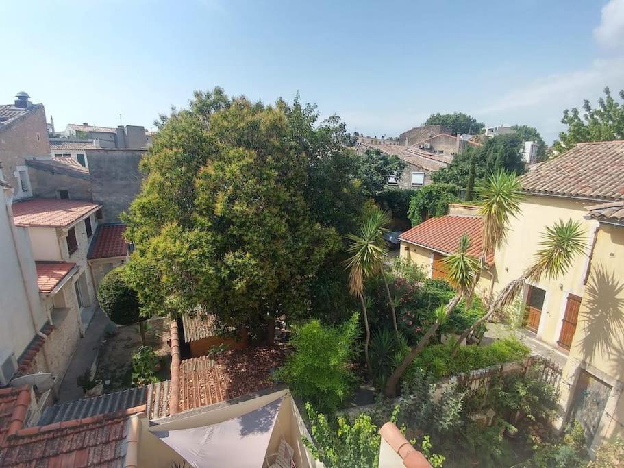 Apartment Farniente Avec Patio Et Clim Montpellier