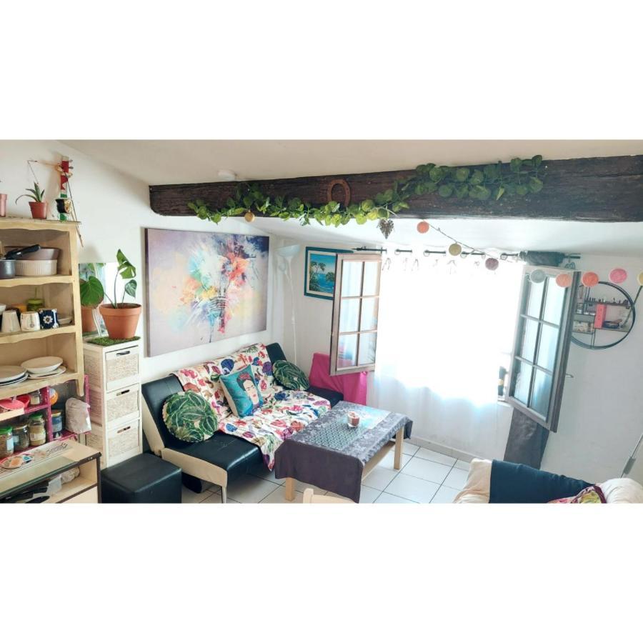 Lumineux Et Cosy En Plein Coeur De Appartement Montpellier