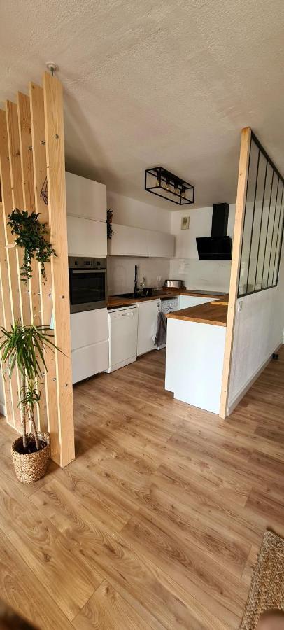 Avec Terrasse, Parking Et Proche Tramway Appartement Montpellier