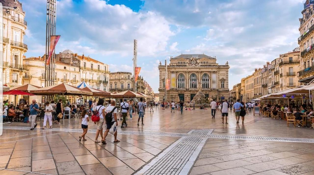 Maison De Plein Pied Divisee En 2 F3 Independant, Situe A Jacou, A 15km Des Plages, 5km De Centre, Attention Le Tarif Propose Est Pour Un Si Vous Souhaitez Louer Les 2 Reservez 2 Hebergements * Montpellier