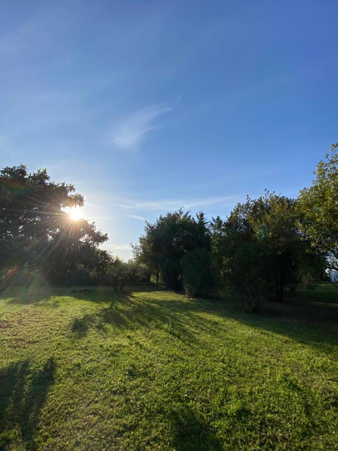 Climatise Dans Un Ancien Domaine Viticole Apartment
