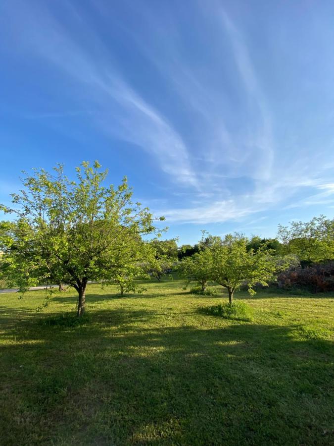 Climatise Dans Un Ancien Domaine Viticole * Montpellier