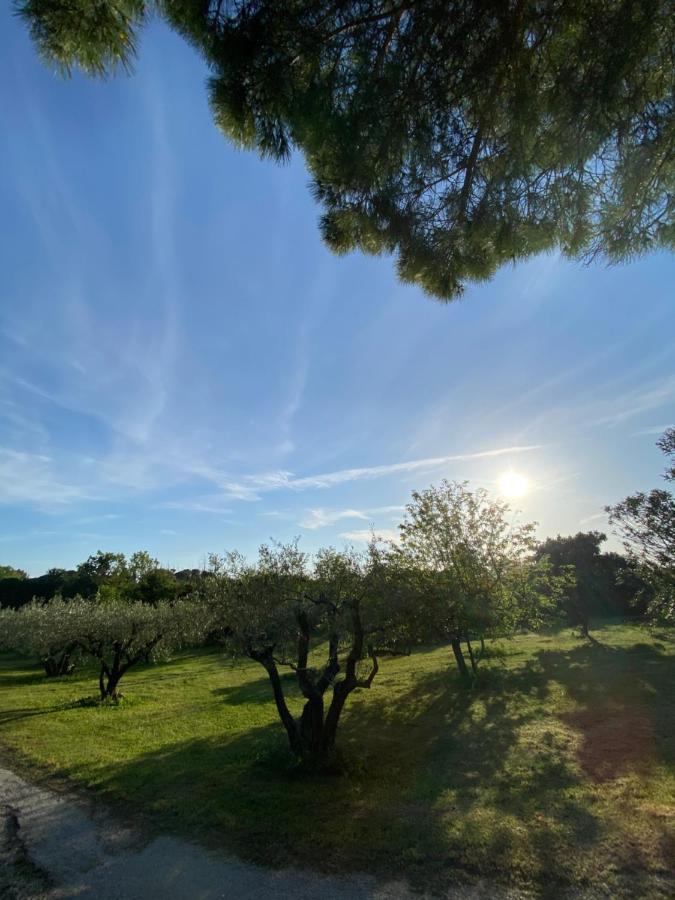 Climatise Dans Un Ancien Domaine Viticole Apartment *