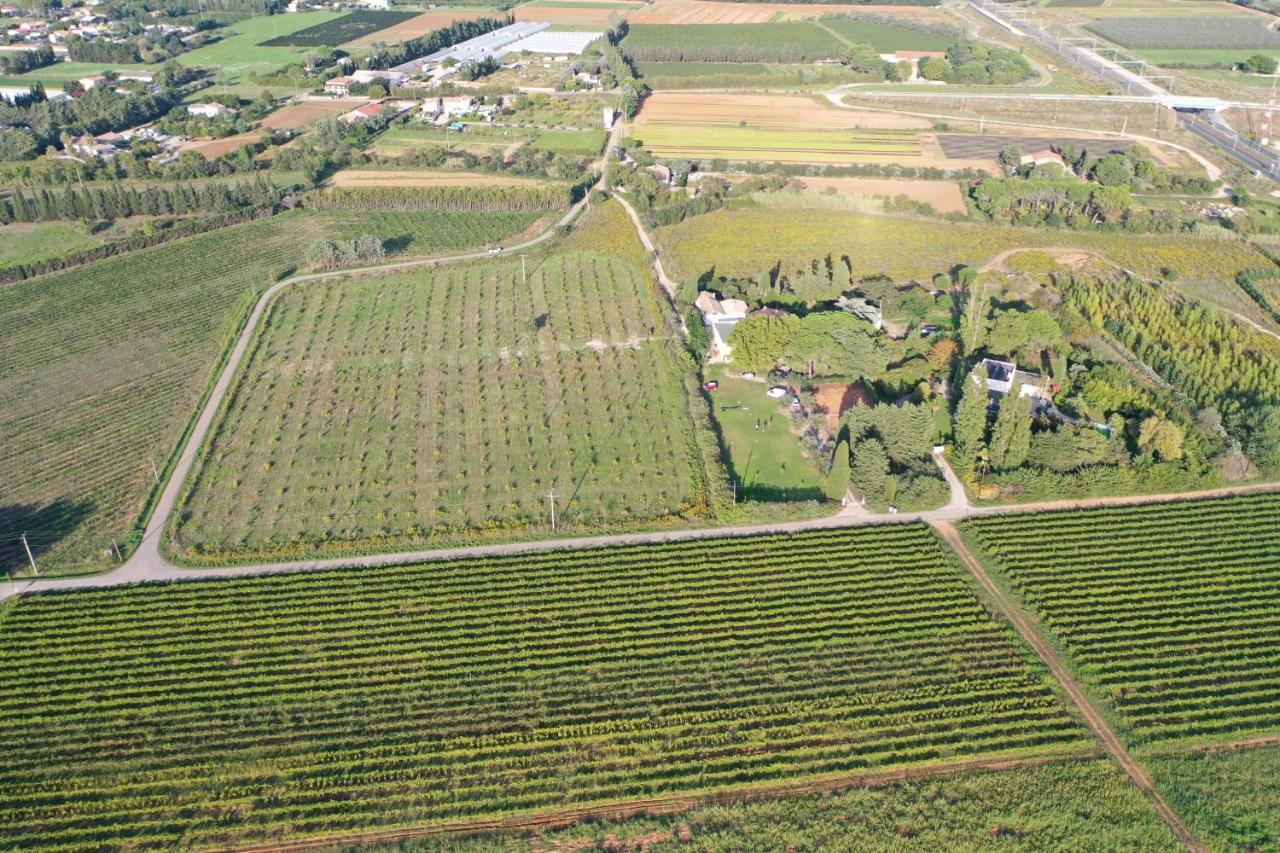 Domaine De La Trinite Montpellier - Aeroport - Plages - Arena - Zenith Bed & Breakfast *