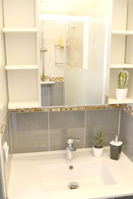 Apartment Center 2 2 Salles De Bain Montpellier