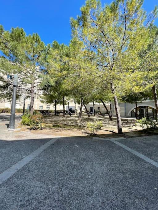 Petit Nid Douillet - Studio - Rives Du Lez - Wifi Appartement Montpellier