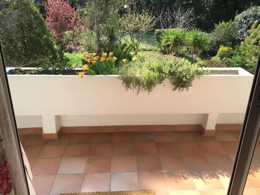 Apartamento Les Collines D'estanove, Charming, Bright, Calm Place With Pool