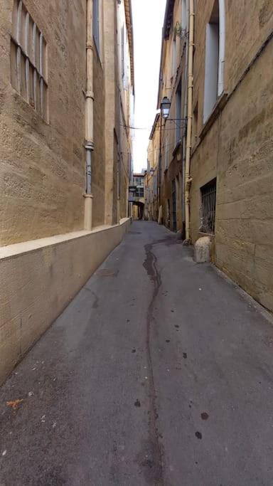 Ambre...la Perle Rare * Montpellier