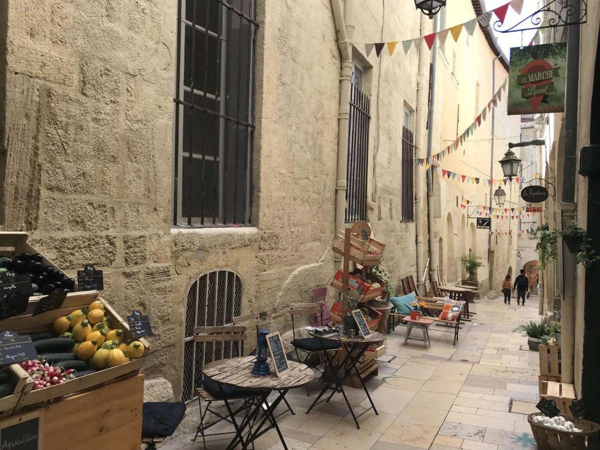 Au Calme Plein Centre Historique Apartment Montpellier