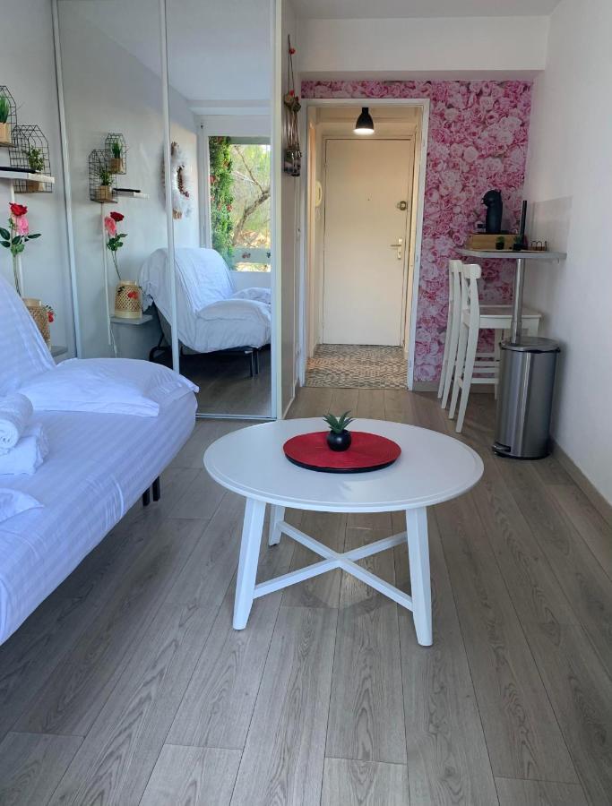Apartamento Jacuzzi Piscine Cinema Privatifs Parking Offert Montpellier