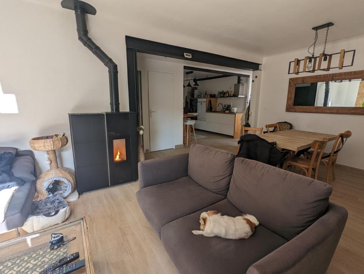 Le Dauphin Villa Montpellier