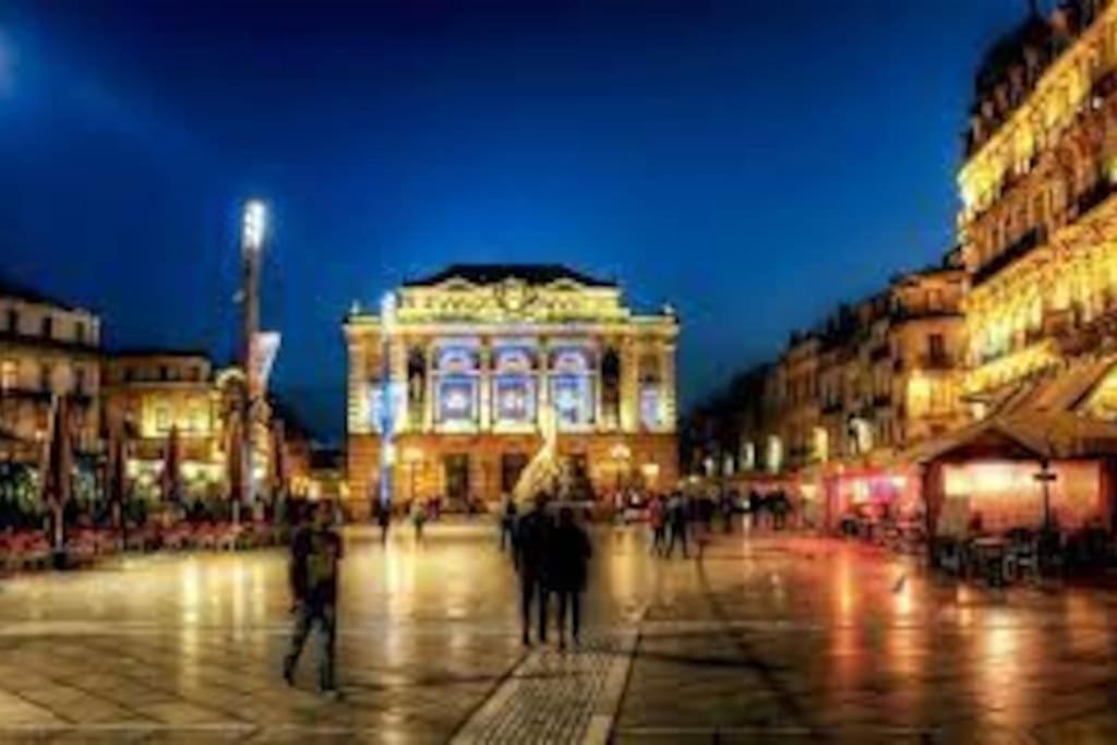 Le Dauphin * Montpellier